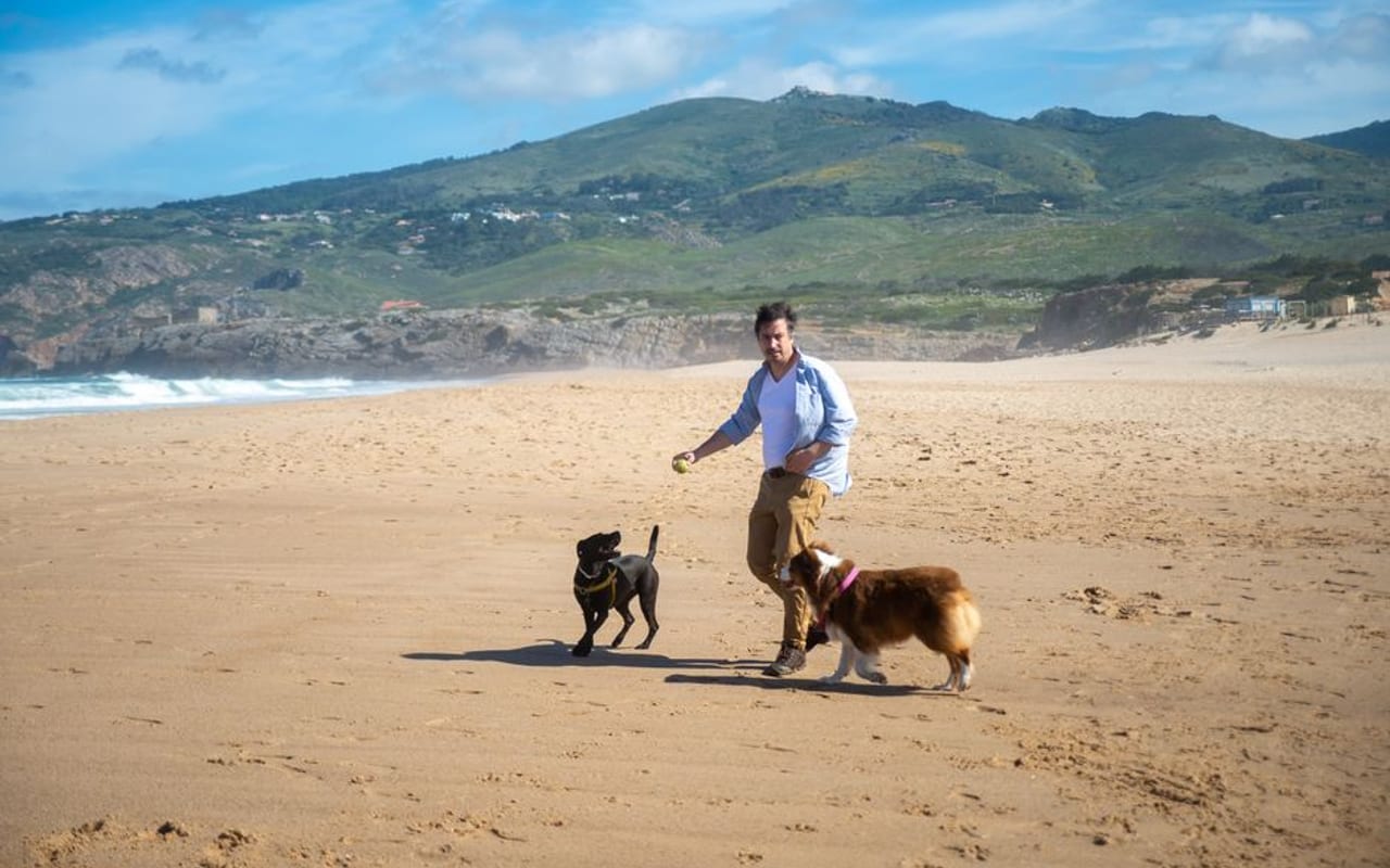 Barbado Da Terceira — gallery 4