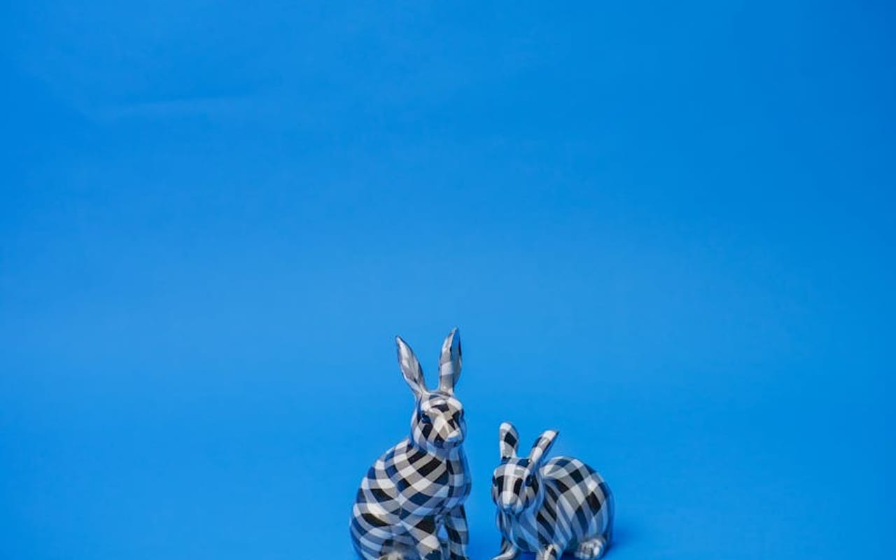 Checkered Giant — gallery 4 (Pexels)