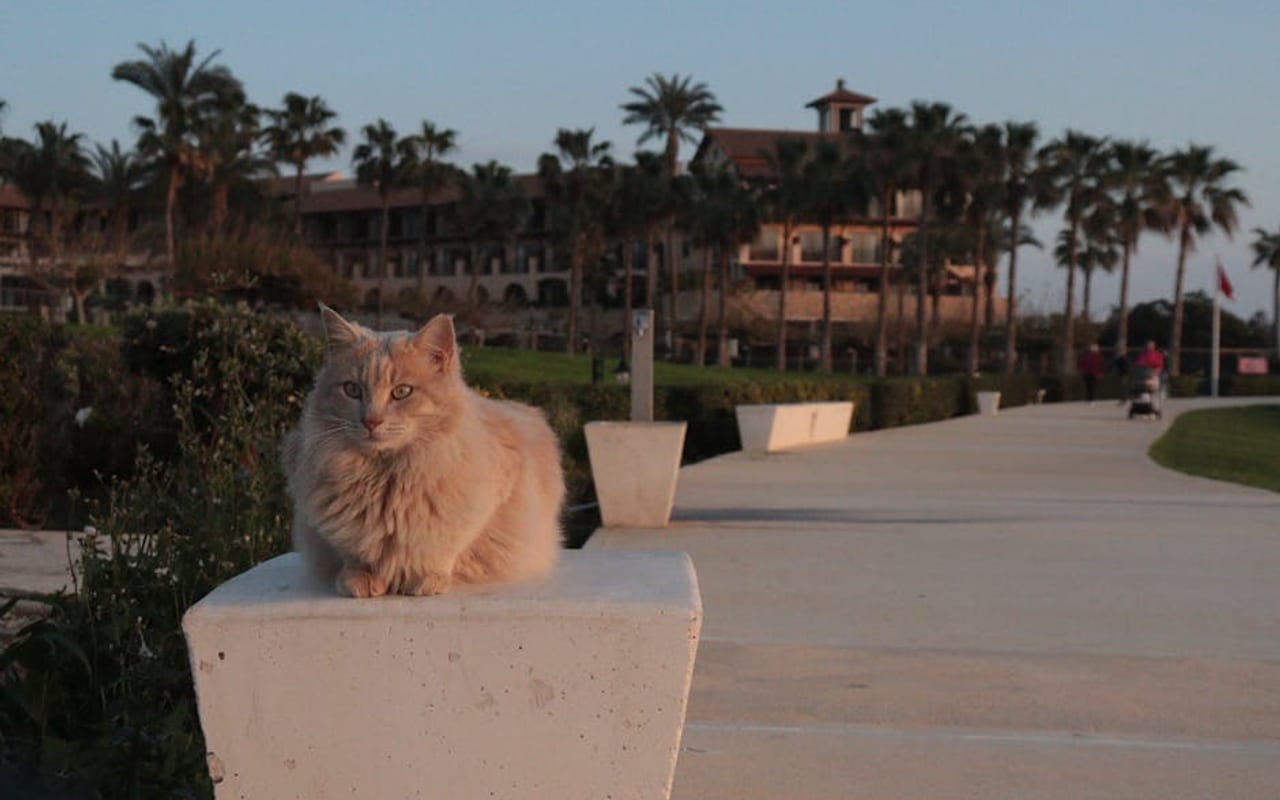 Cyprus — gallery 4