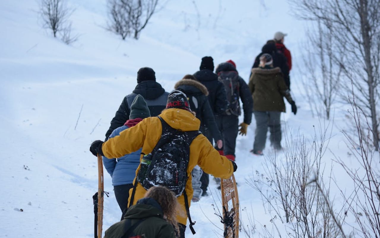 Snowshoe — gallery 3