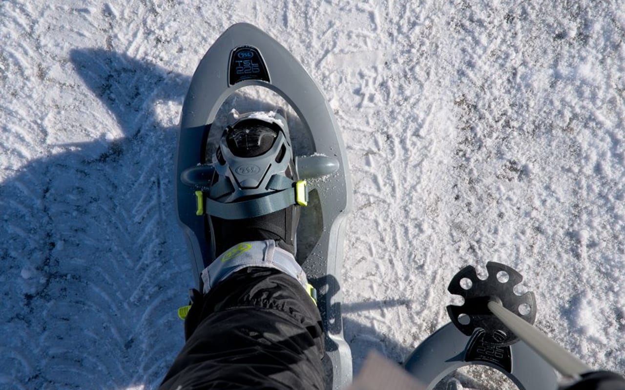 Snowshoe — gallery 4