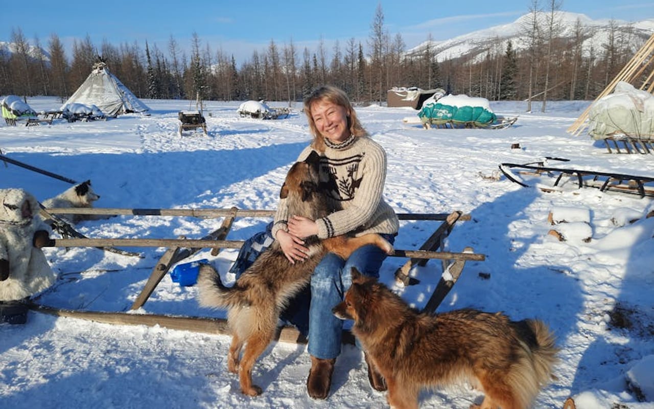 Yakutian Laika — gallery 4
