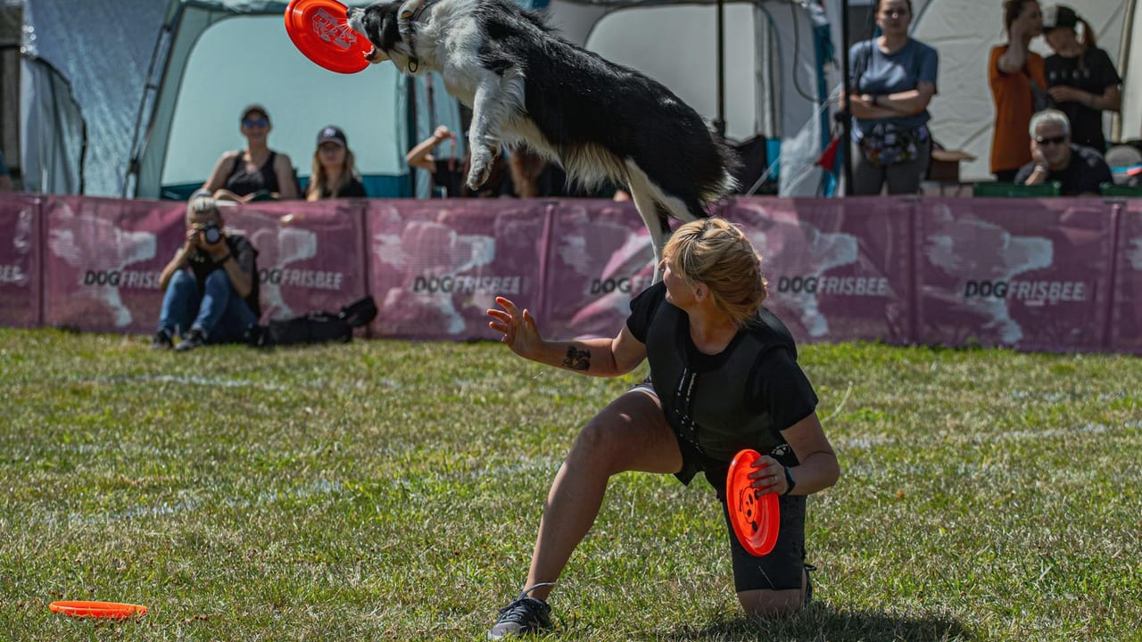 The History of Dog Shows — 1859 - Present
